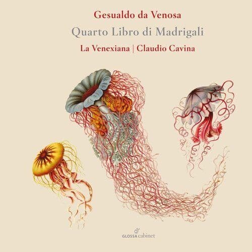 Gesualdo da Venosa : Gesualdo Da Venosa: Quarto Libro Di Madrigali CD (2022)