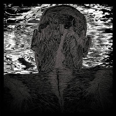 Asher Levitas : Lit Harness CD (2016)
