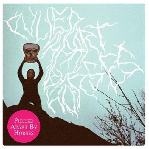 Pulled Apart By Horses : Pulled Apart By Horses CD (2010) Pre-Owned