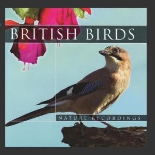 Global Journey : British Birds CD Pre-Owned