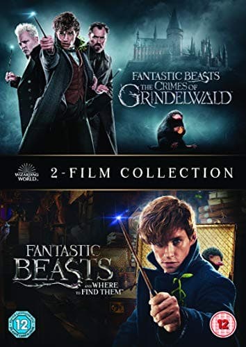 Fantastic Beasts: 2 Film Collection DVD (2018)