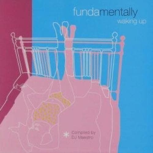 Various Artists : Fundamentally Waking Up CD Pre-Owned