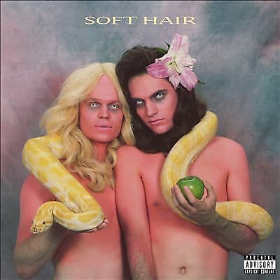 Soft Hair : Soft Hair CD (2016) Pre-Owned