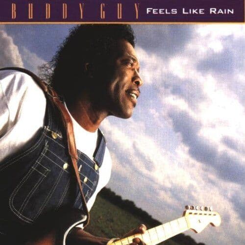 Feels Like Rain CD (1997) Pre-Owned