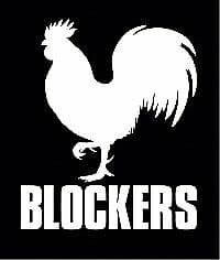 Blockers DVD (2018) Leslie Mann, Cannon (DIR) Cert 15 Pre-Owned Region 2