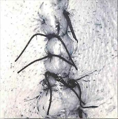 Scheer : Infliction CD Pre-Owned