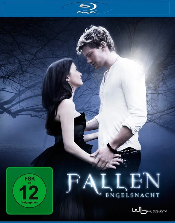 Fallen Engelsnacht (Bluray) Brand New