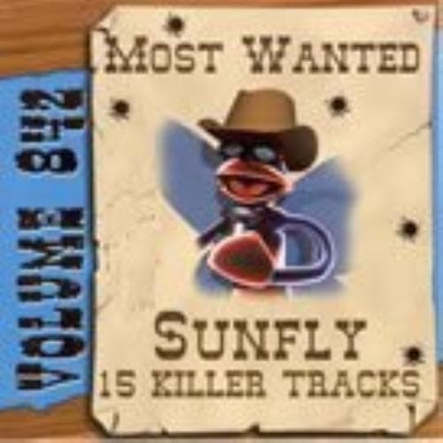 Various Artists : Sunfly Karaoke Most Wanted Volume 842 (C CD Pre-Owned