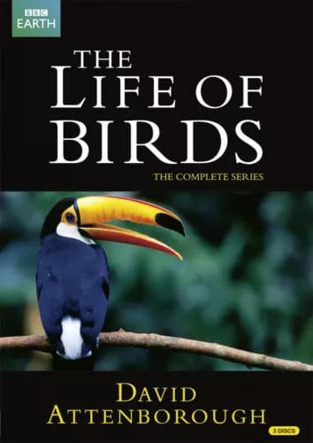 David Attenborough: Linnun elämä - Koko sarja (DVD Box Set)
