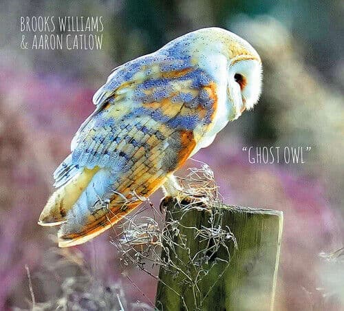 Brooks Williams & Aaron Catlow : Ghost owl CD (2023)