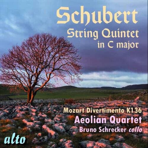 Franz Schubert : Schubert: String Quintet in C Major CD (2015) Pre-Owned