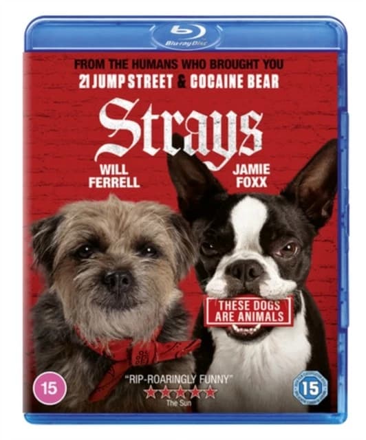 Strays Brand New