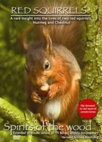 Red Squirrels DVD Pre-Owned Region 2