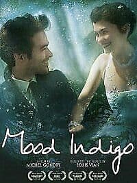 Mood Indigo (2014) DVD - Romain Duris