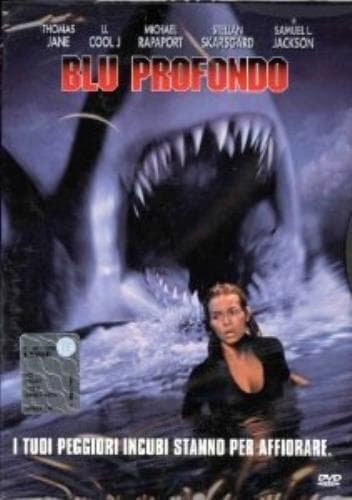THE DES BISHOP WORK EXPERIENCE DVD Pre-Owned Region 2