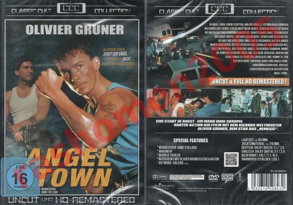 Angel Town - Olivier Gruner DVD