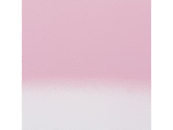 Amsterdam spraymaling Persian Rose 330