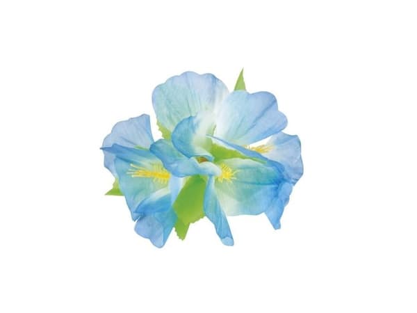 Hårblomst med klemme