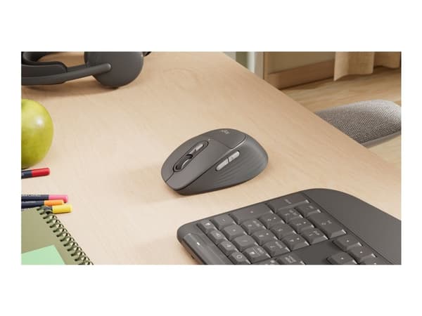 LOGITECH M850 L för Business, grafit
