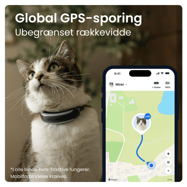 Tractive CAT 6 Mini - Black