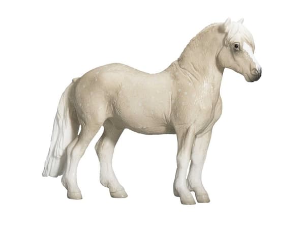 Mojo Welsh Pony