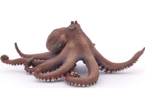 Papo Octopus, 3 År, Marint liv, Brun, PVC