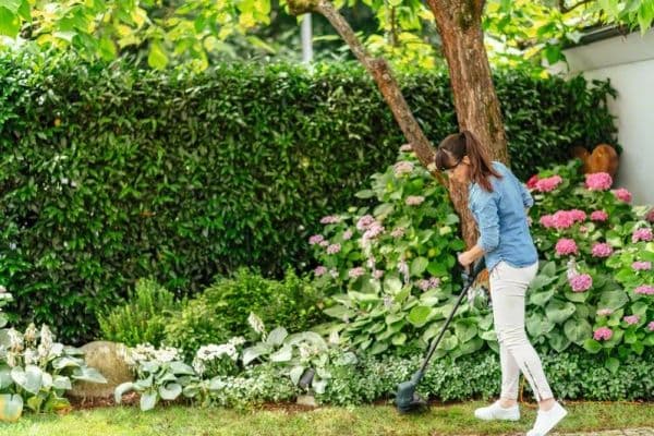 Bosch GRÆSTRIMMER EASY GRASS CUT 26CM