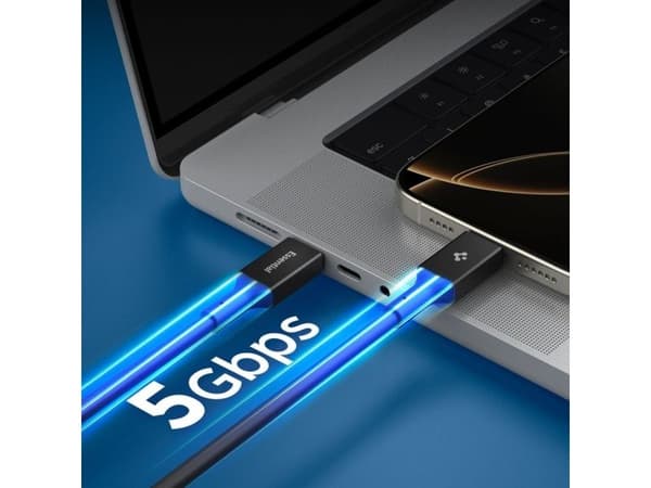 Spigen EB10020CC USB-C-kabel 100W 200cm - svart