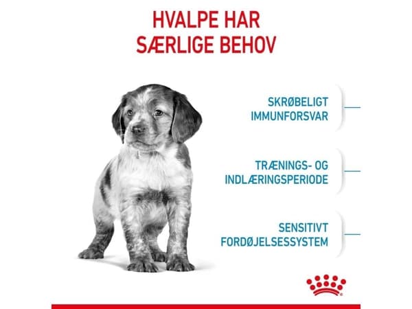 Royal Canin Medium Puppy tørfoder til hvalp - 10 kg