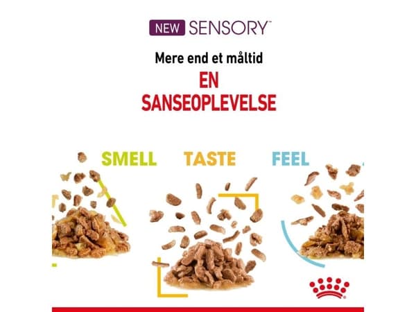 Royal Canin Sensory Mixed Box Gravy Adult vådfoder til kat - 12x85 g