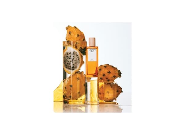 Loewe Solo Ella EDT W 100 ml