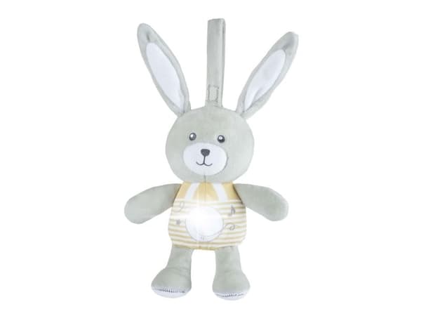 Chicco First Dreams 00011129000000, Kanin, Interaktiv, Låter, AAA