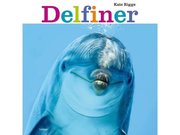 Delfiner | Kate Riggs | Språk: Dansk