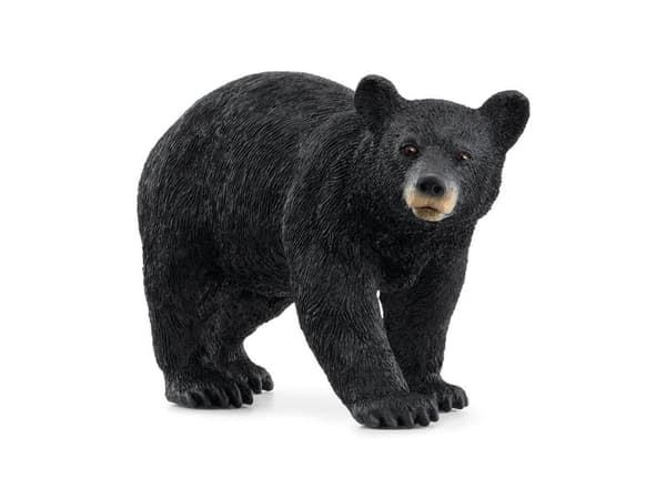 Schleich American Black Bear