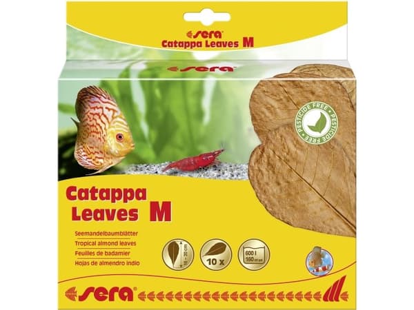 Sera Mandelblad - Catappa Blad M, 18 cm, 10 st/förpackning