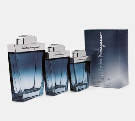 Salvatore Ferragamo Subtil 100 ml, miehet, 100 ml