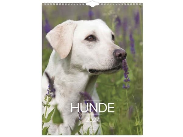 Väggkalender Hundar 2027