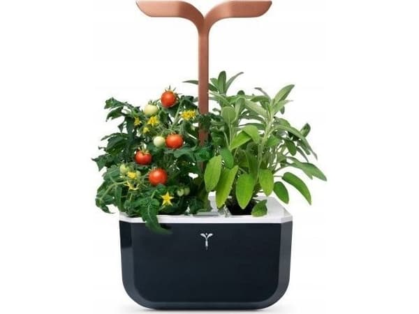 Veritabel Ekte ekte Doniczka Exky Smart Black&Copper