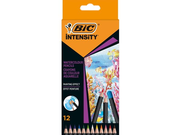 BIC Intensity Premium blyertsfärger 12 st