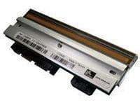 Zebra - 203 dpi - skriverhode - for TLP 2824