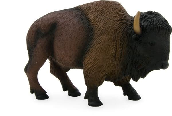 Mojo Amerikansk Bisonokse
