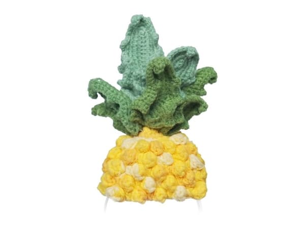 Knitted costume for Loona Premium Pineapple