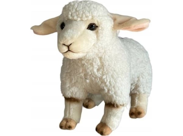 Dubi sau 23 cm 31051