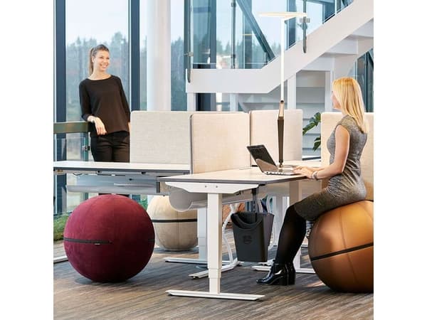 Istuinpallo Office Ballz, suuri Hinta gr. 1