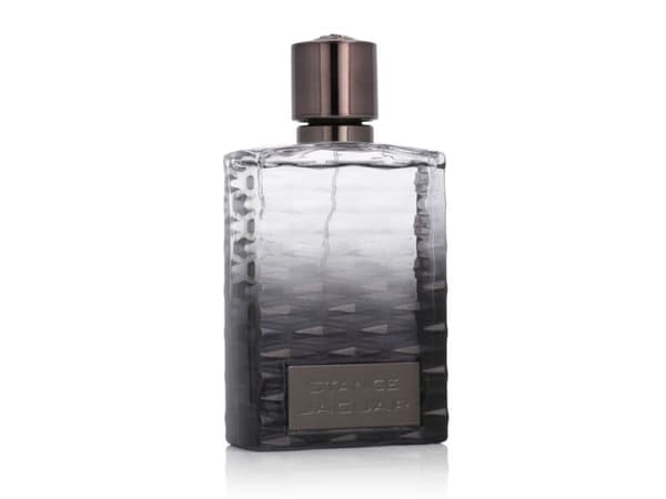 Jaguar Stance EDT 100ml