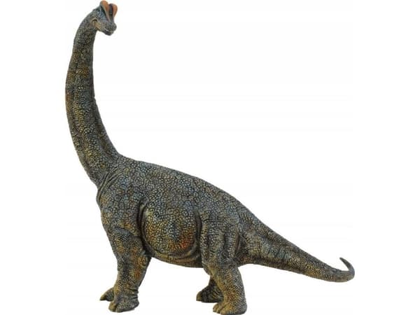CollectA Brachiosaurus -Deluxe 1:40 Scale