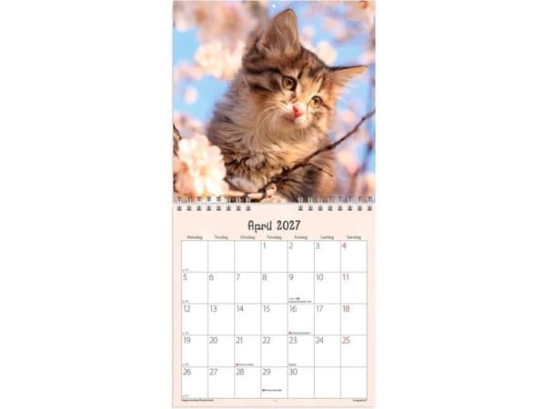 Väggkalender mini Kattungar 2027