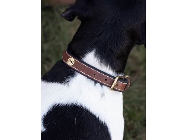 JACSON Krage Arezzo brun 40 cm
