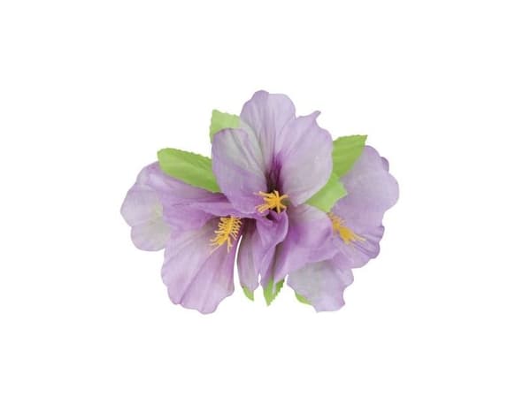Hårblomst med klemme