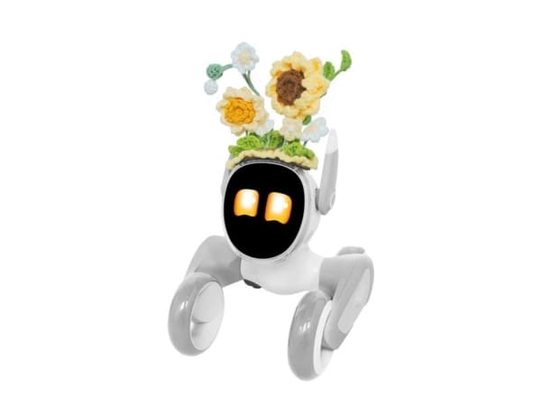 Stickat set för Loona Premium Sunflower